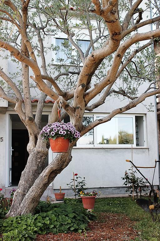 Apartment Donat Zadar Room photo